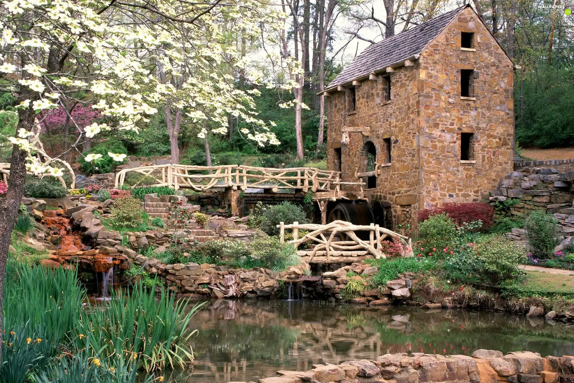 Flowers, Arkansas, water, Stones, eye