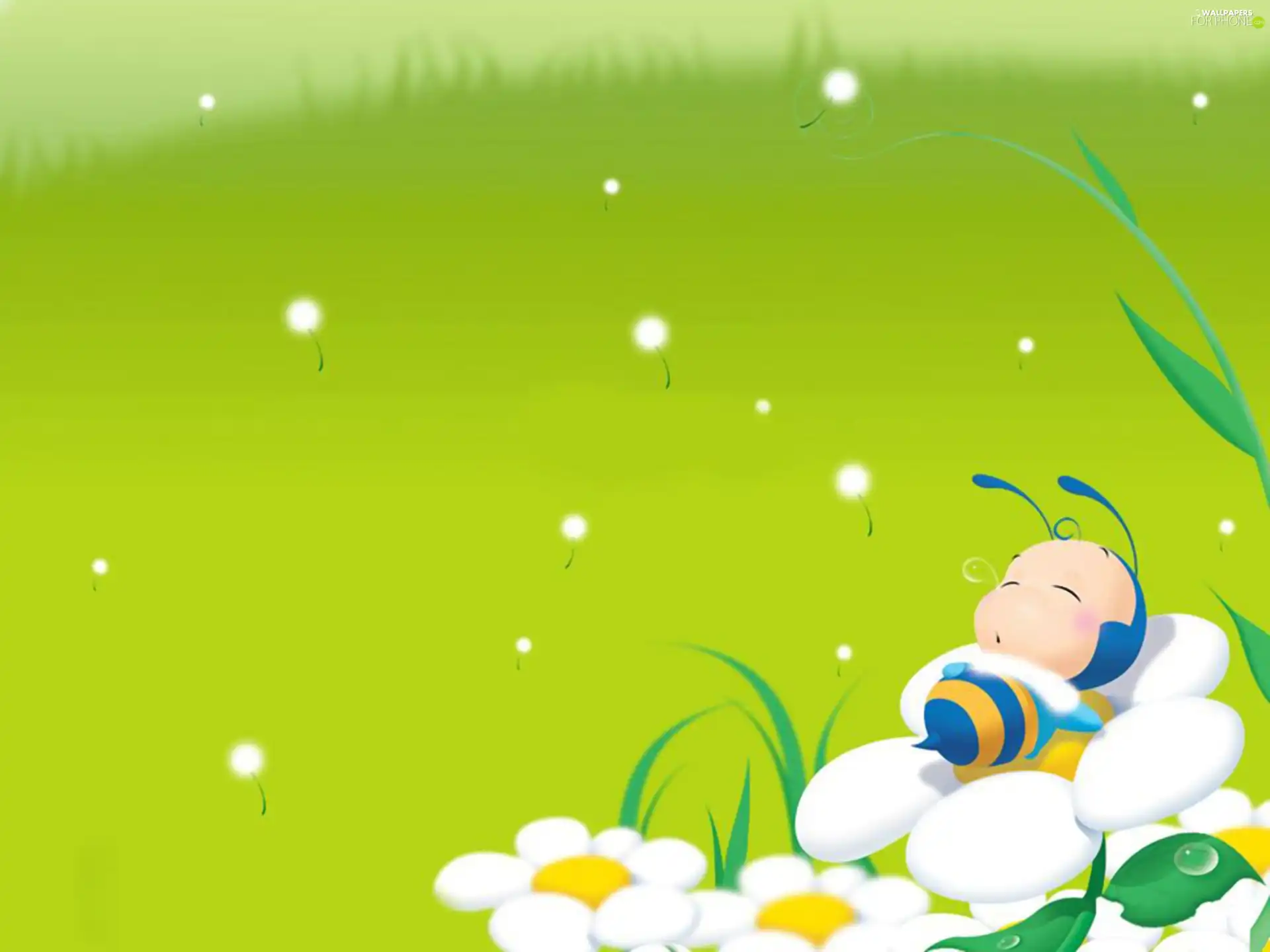 Bee, Meadow, Flowers, dream