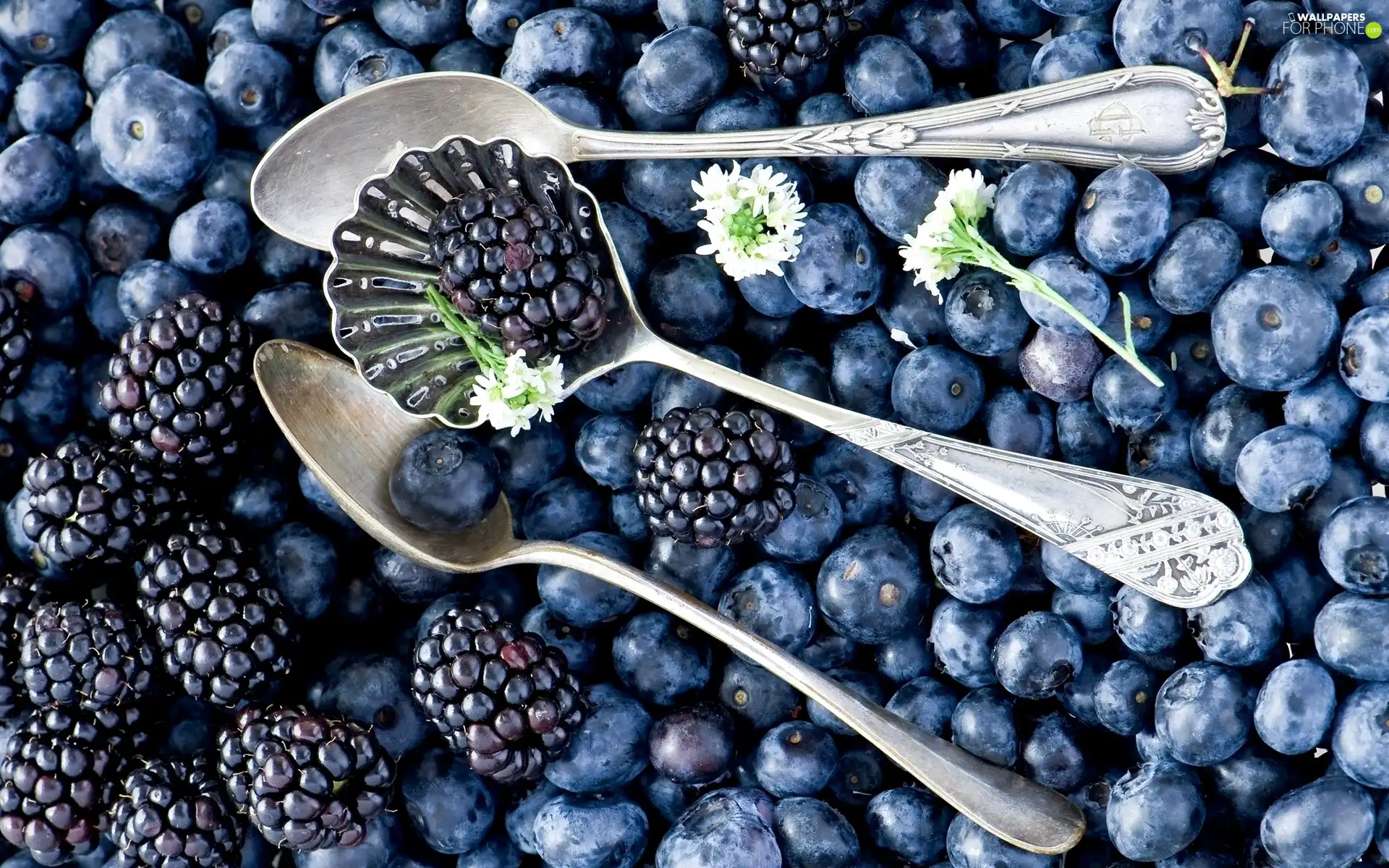 blueberries, Spoons, Flowers, blackberries