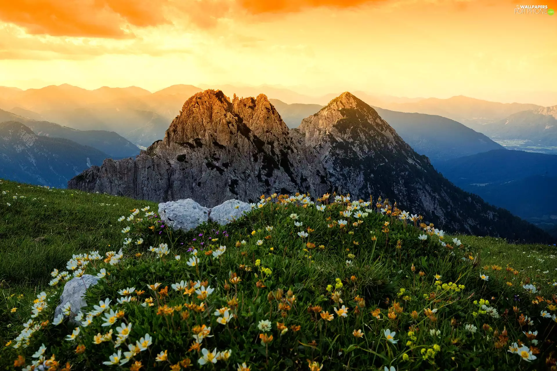 Meadow, Flowers, clouds, Mountains, Sunrise