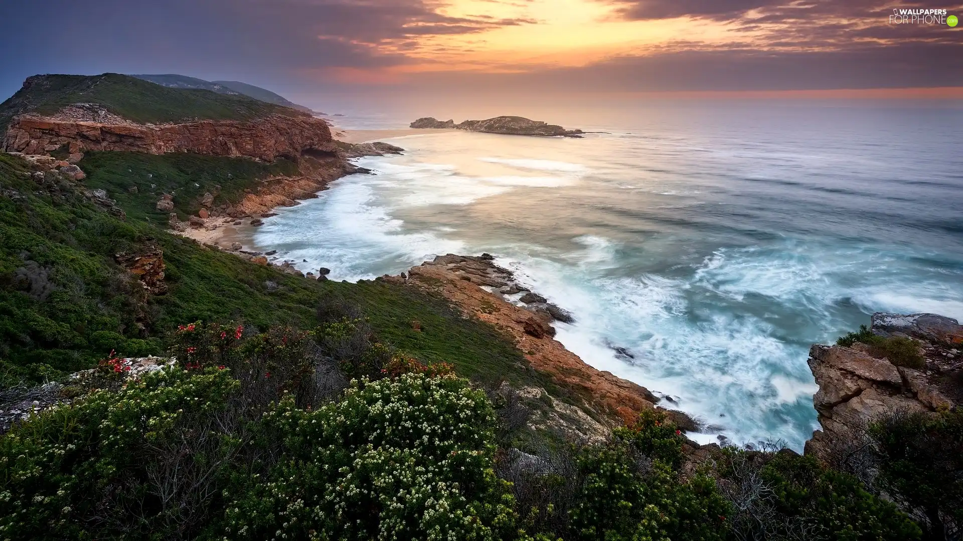 rocks, sea, Plants, Flowers, Sunrise, Coast
