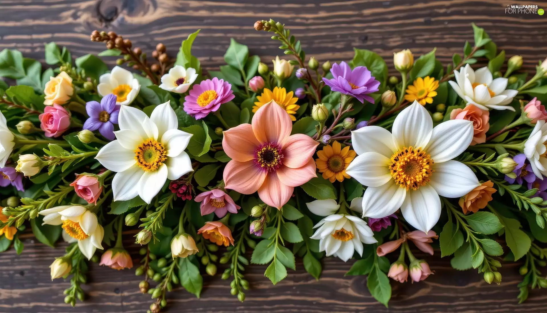 color, leaves, boarding, Flowers