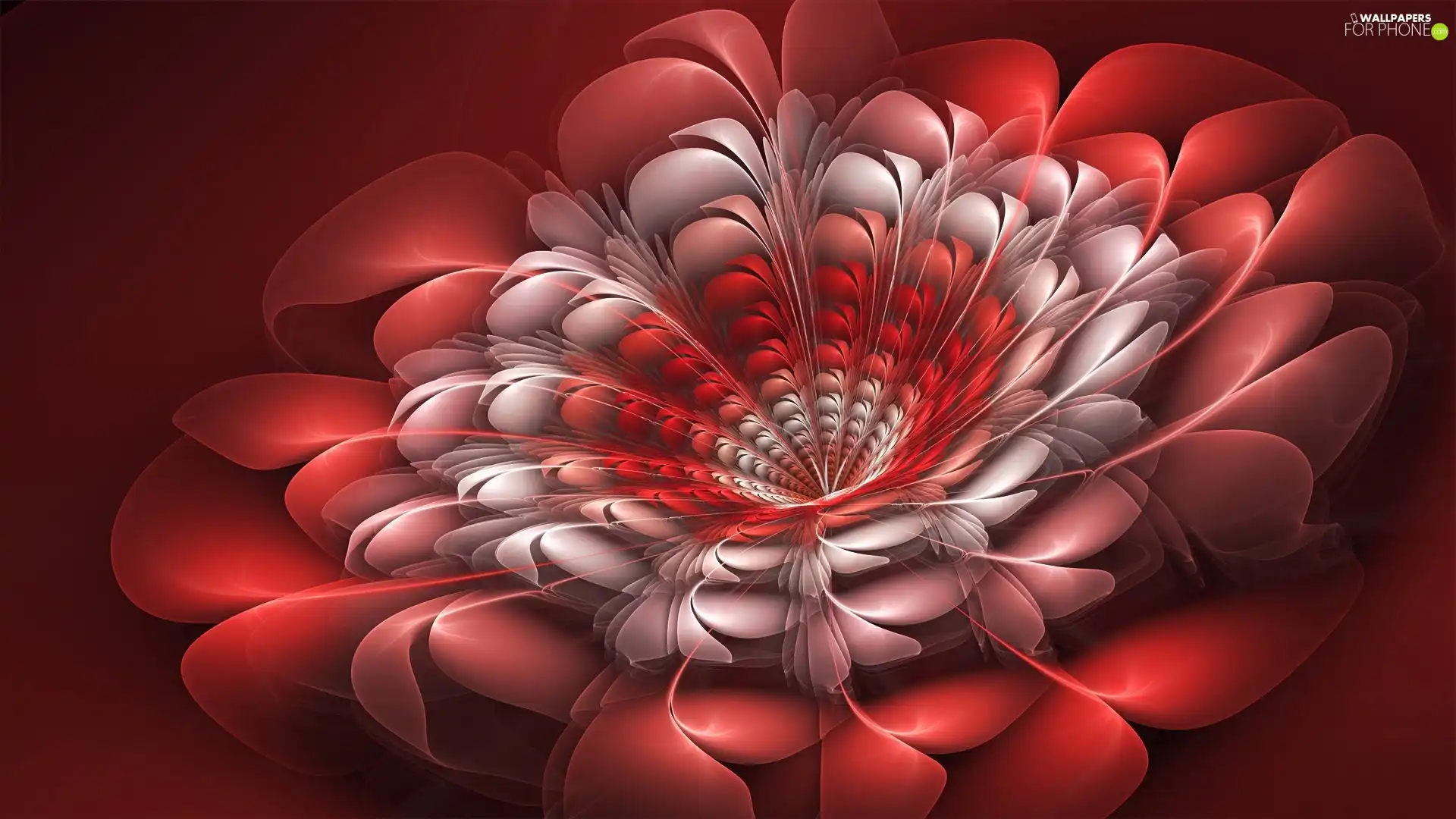 Red, Colourfull Flowers
