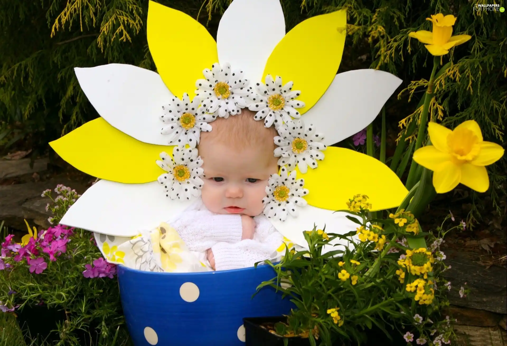 Flowers, girl, cup