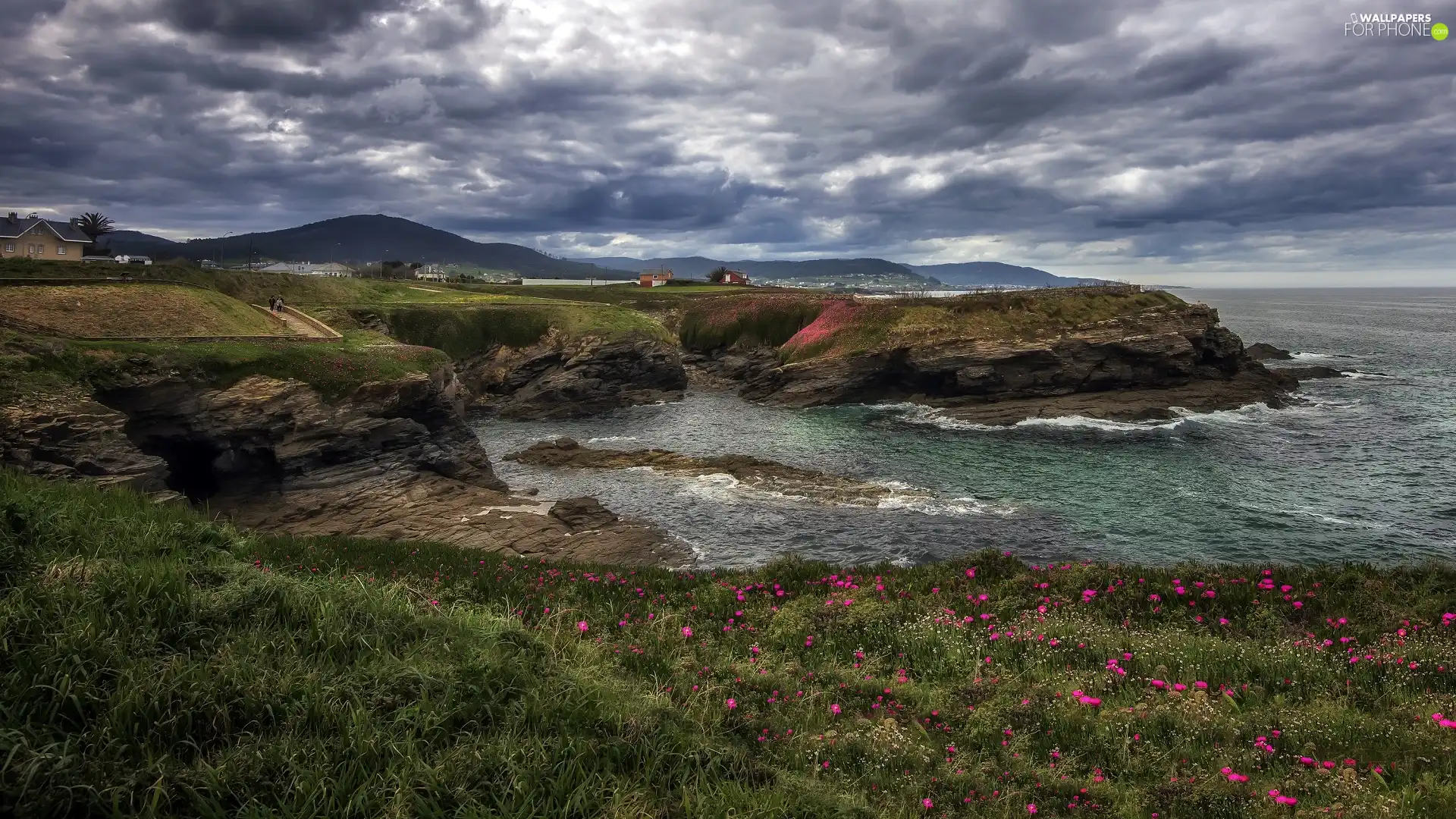 rocks, Houses, dark, Flowers, Coast, sea, clouds