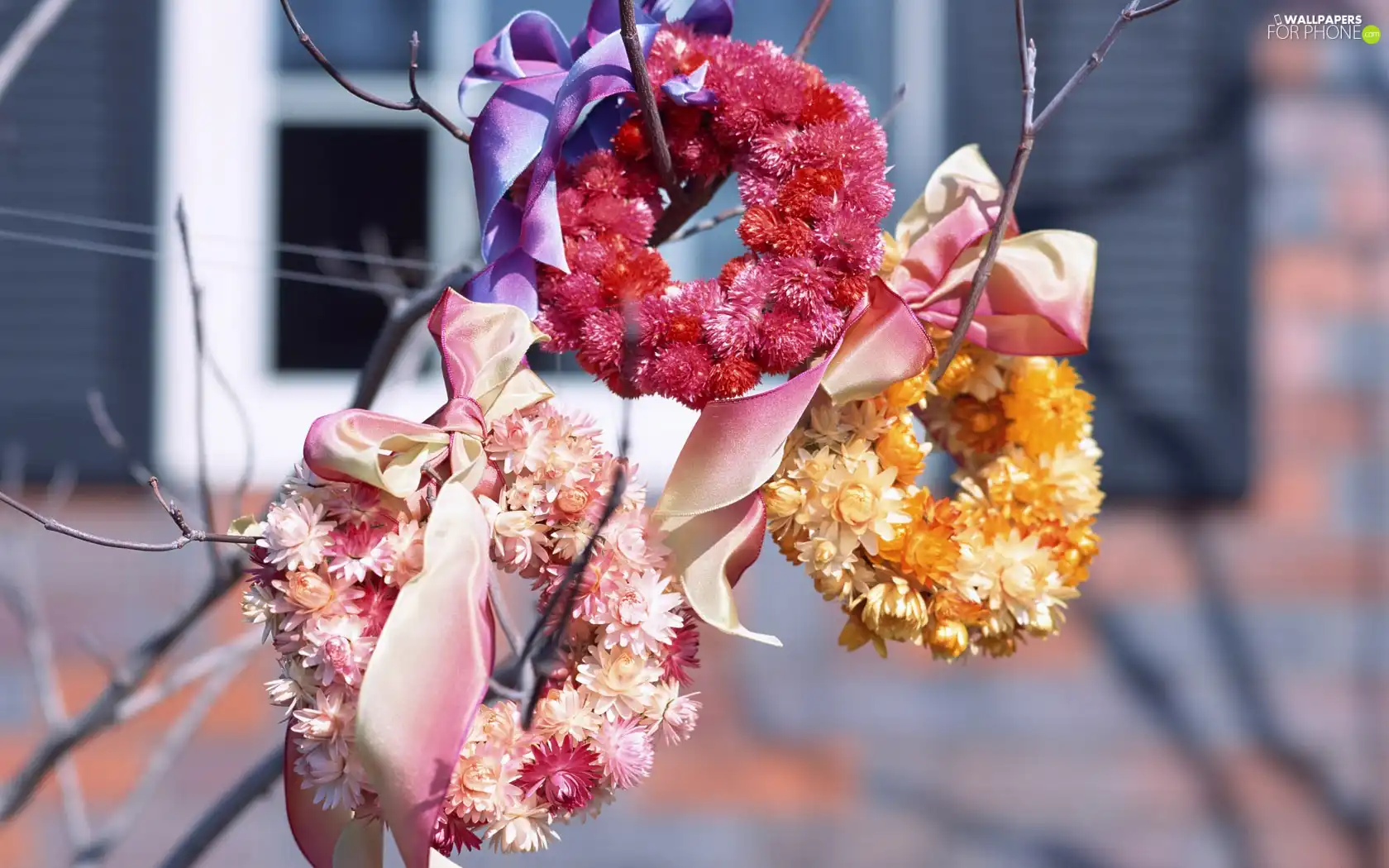 flowers, Wreaths, dried