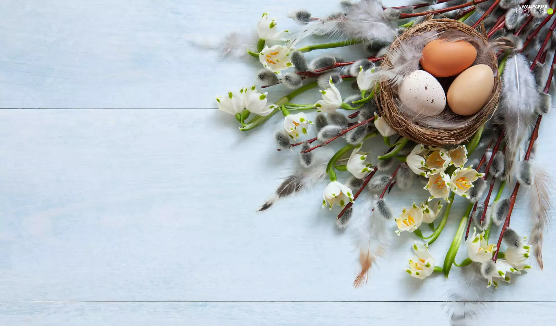 Leucojum, database, eggs, Flowers, Twigs, nest, Easter