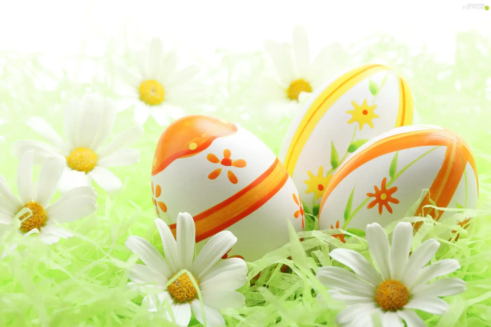 Flowers, Easter, eggs