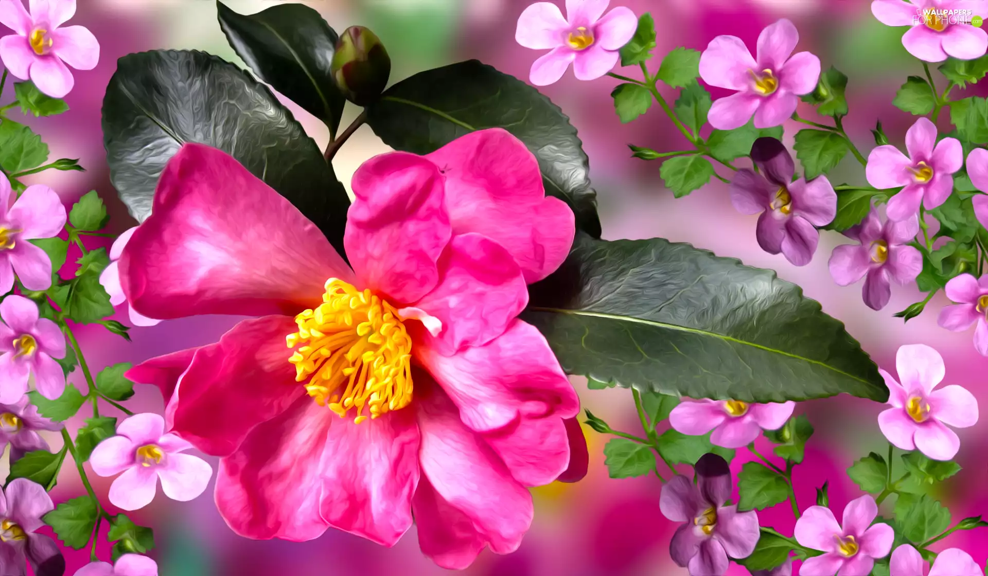 change, Colourfull Flowers, Flowers, graphics, Pink, camellia