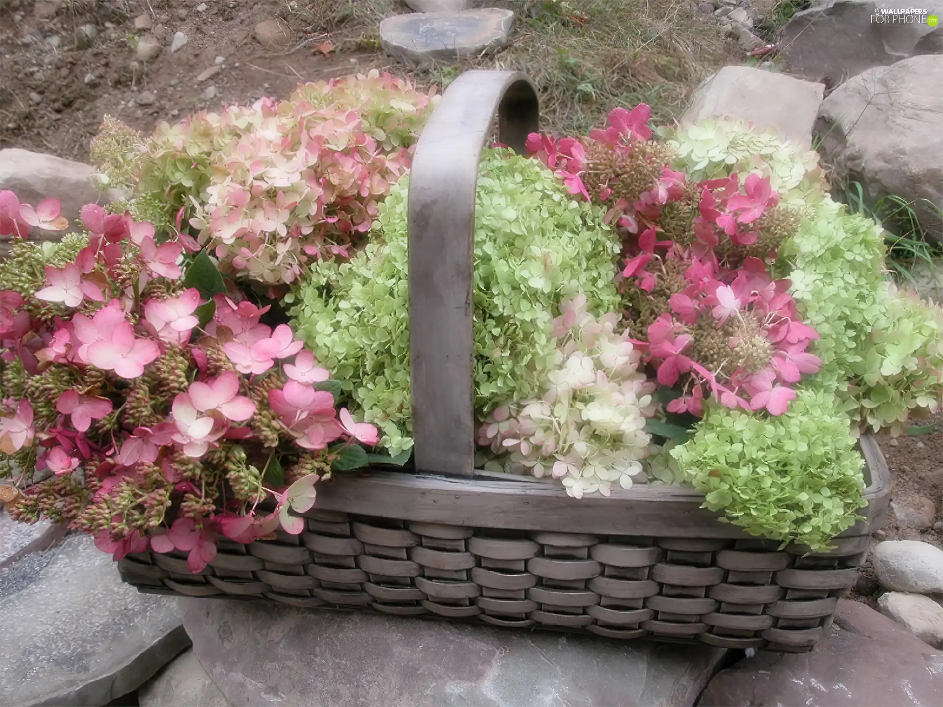 flowers, basket, full