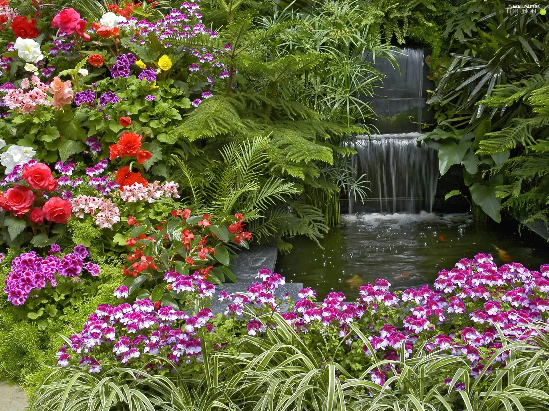 Garden, Flowers