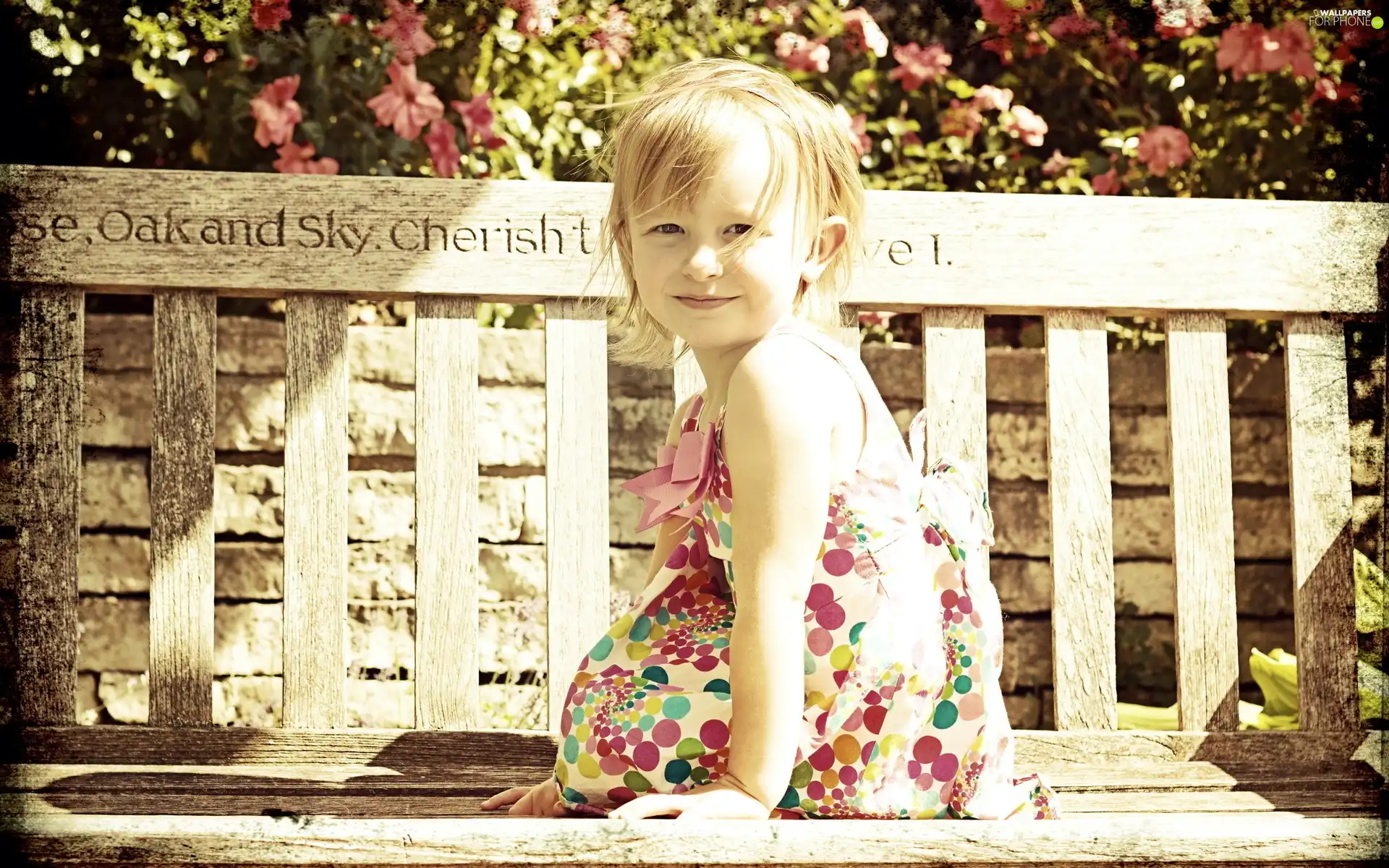 girl, Bench, Flowers, dress