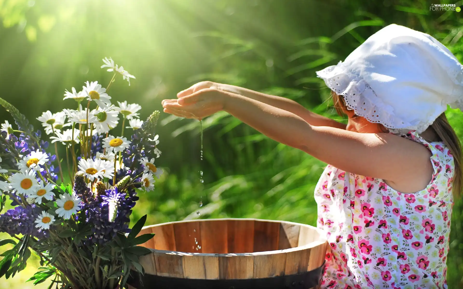 girl, water, Flowers, bucket