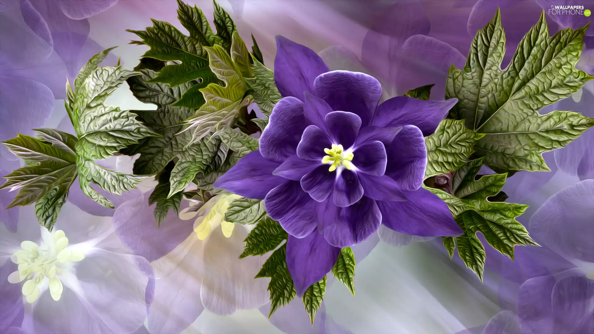 columbine, Leaf, Colourfull Flowers, Violet, graphics