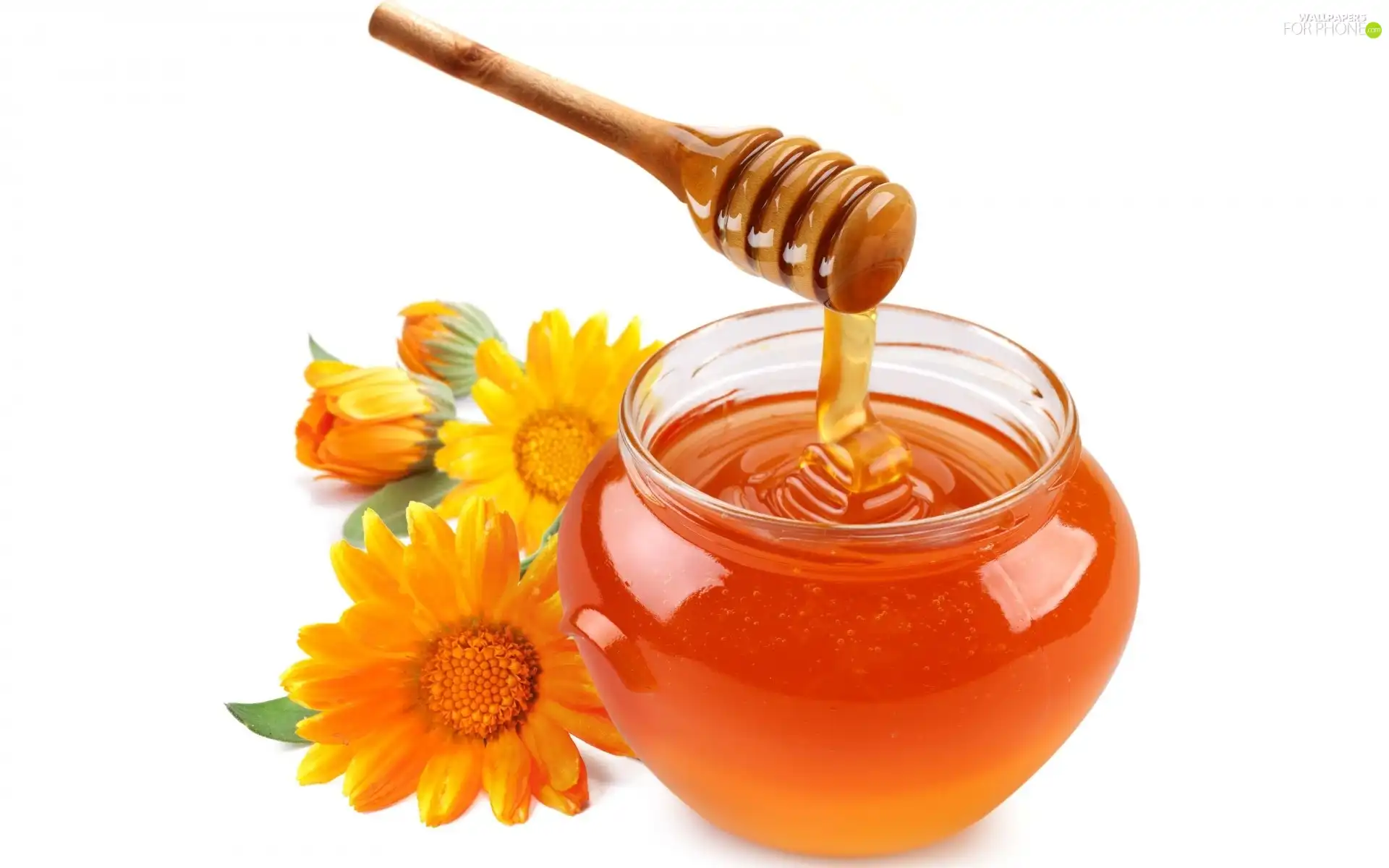 Flowers, jar, honey