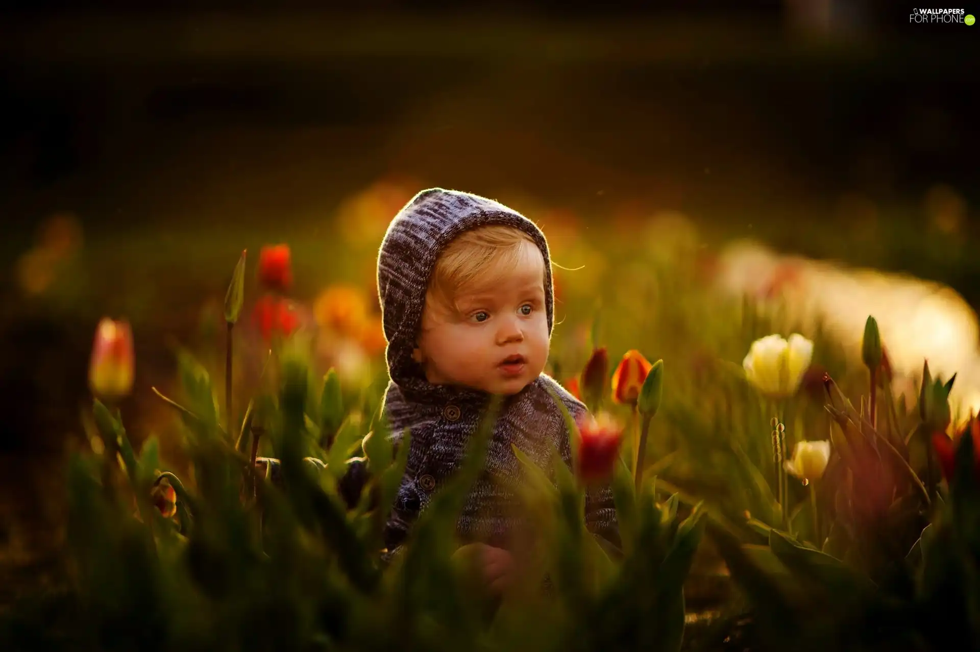 Kid, Flowers