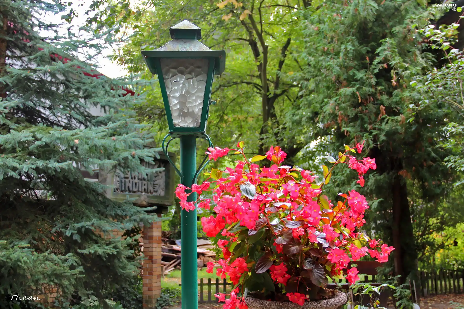 Flowers, Lighthouse, trees, viewes, Garden