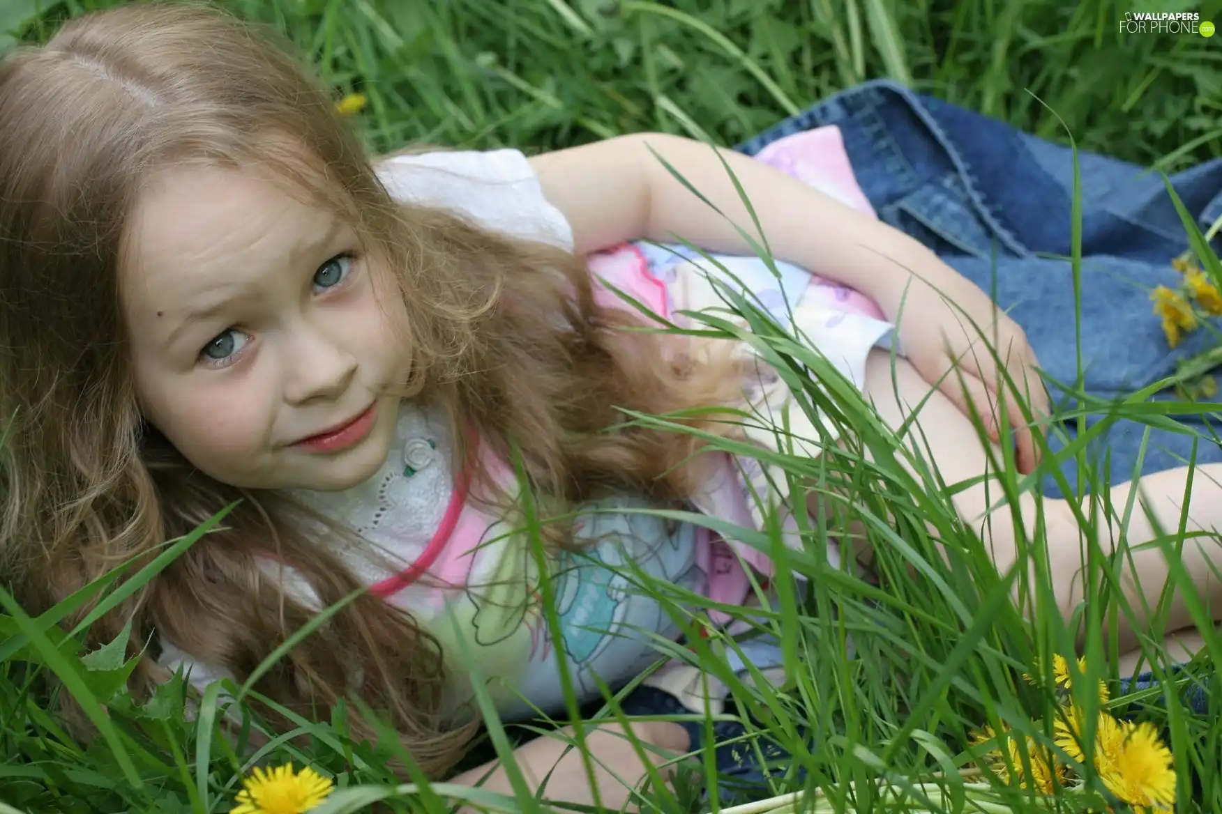 Flowers, girl, Meadow