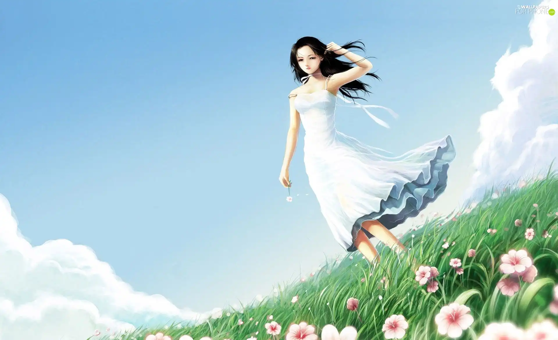 Flowers, girl, Meadow