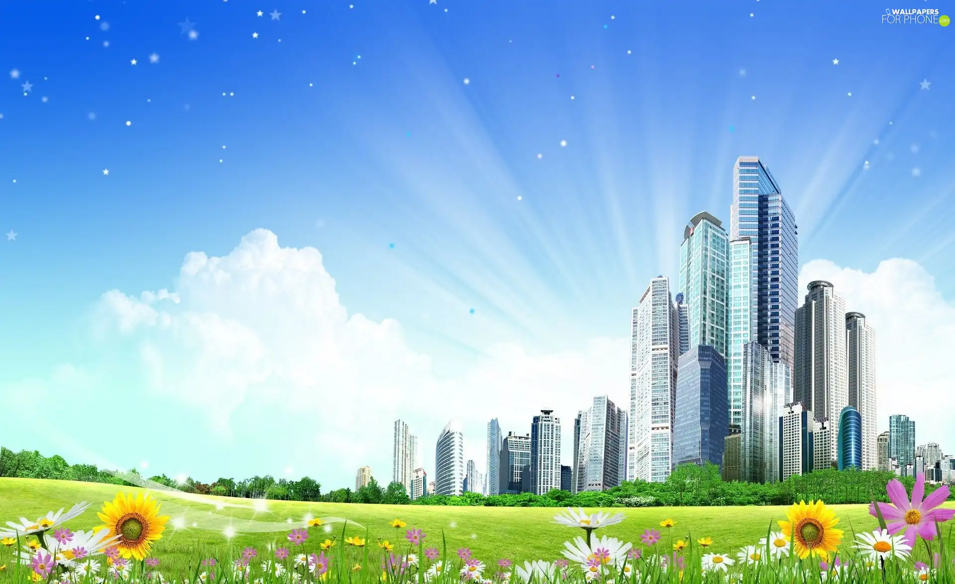Flowers, skyscrapers, Meadow