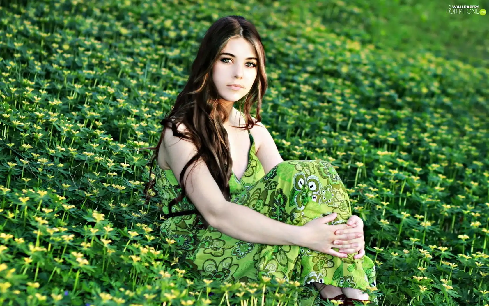 Flowers, Women, Meadow