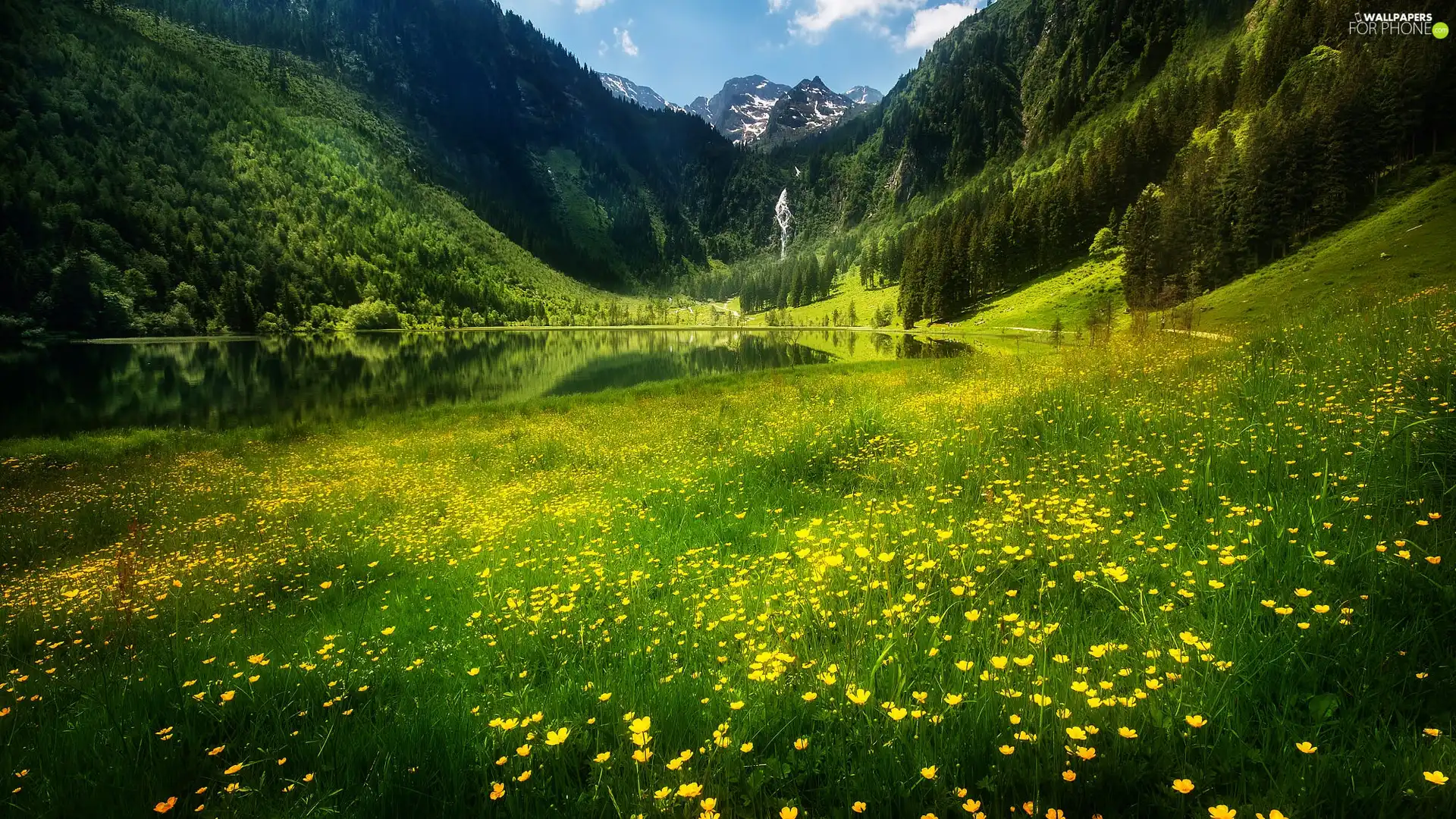 Meadow, Flowers, Mountains, waterfall, lake