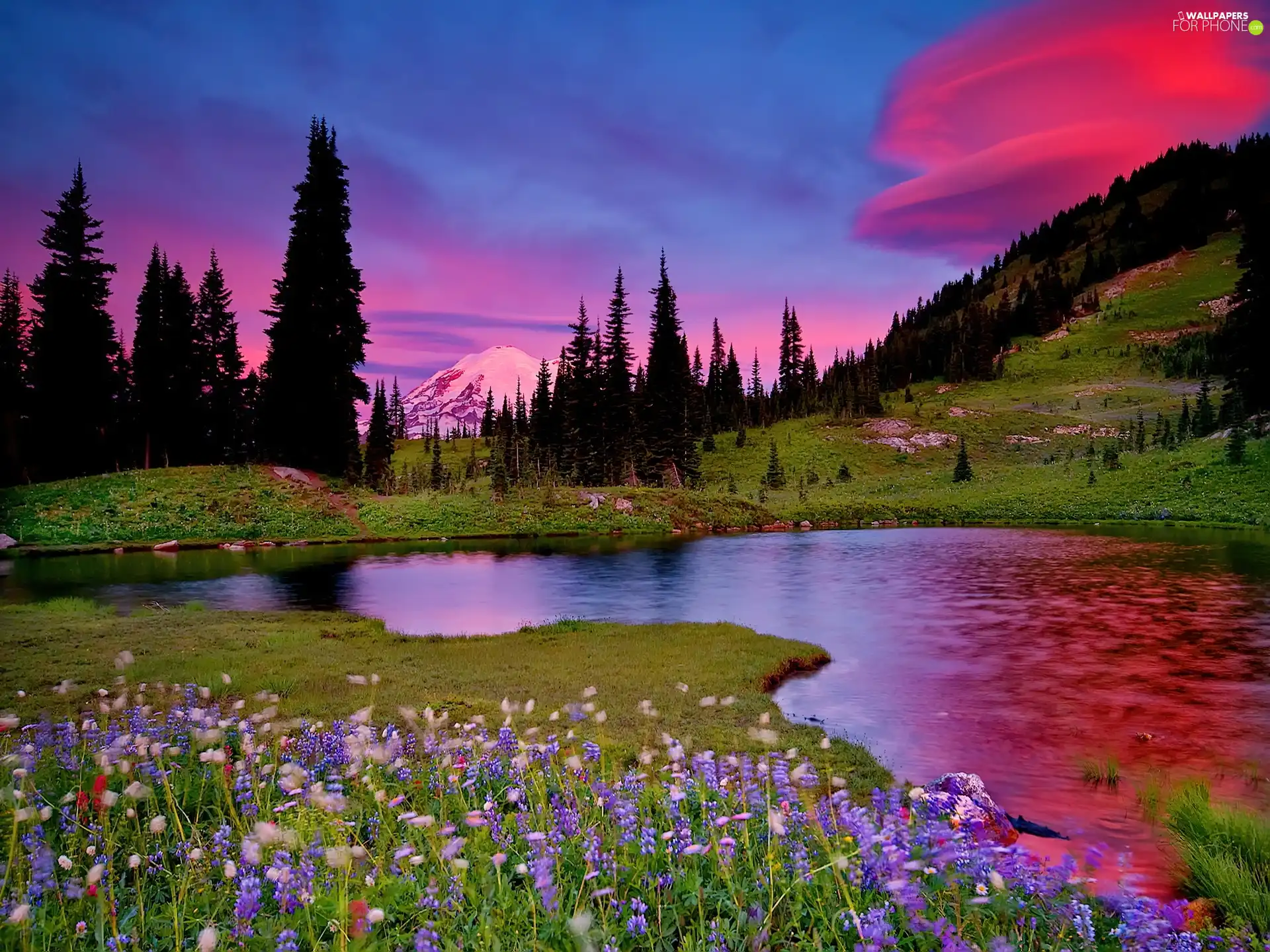 Flowers, River, Mountains