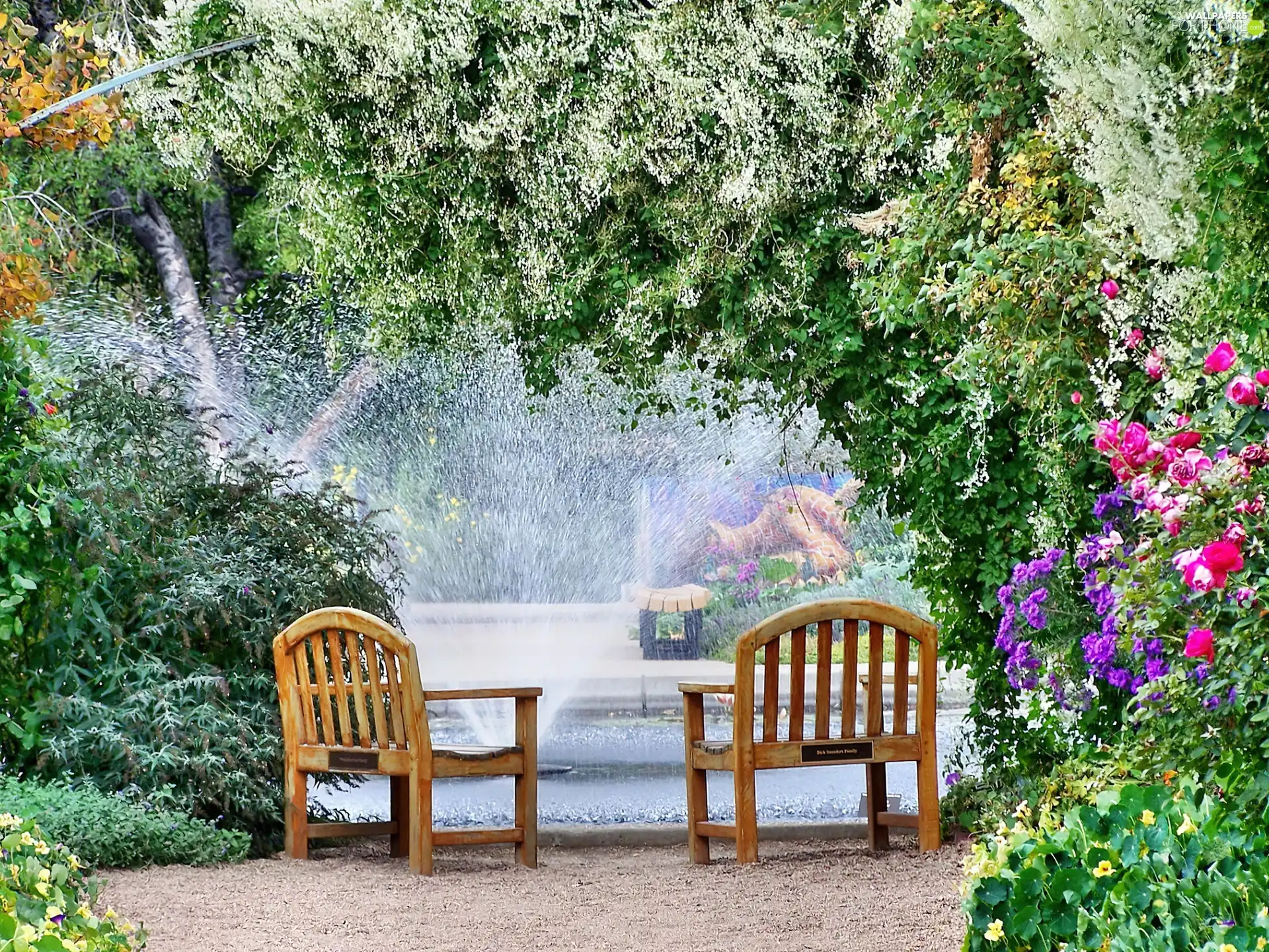 Park, green, Flowers, bench