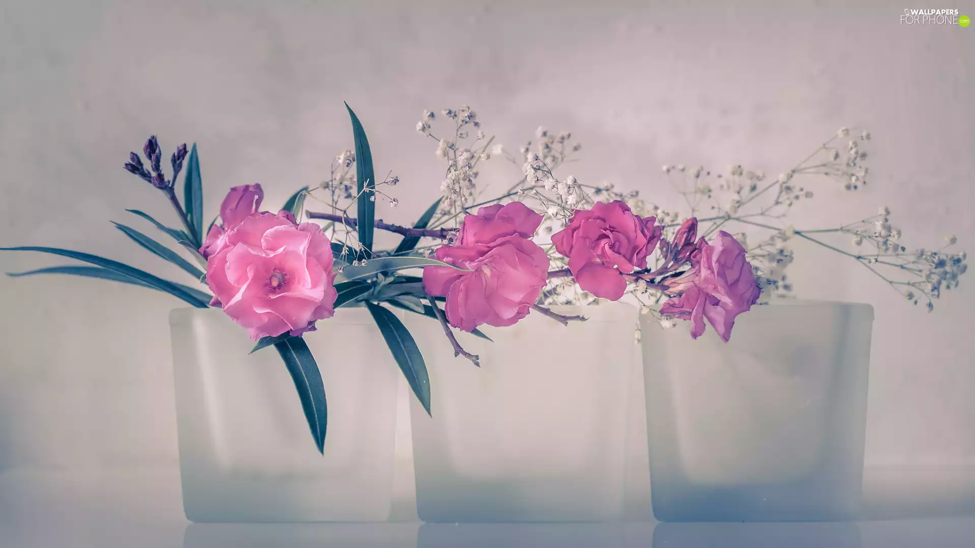 Pink, Three, Glass, Flowers