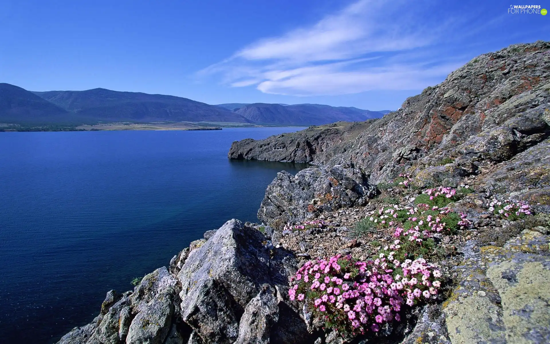 River, rocks, Flowers, Mountains