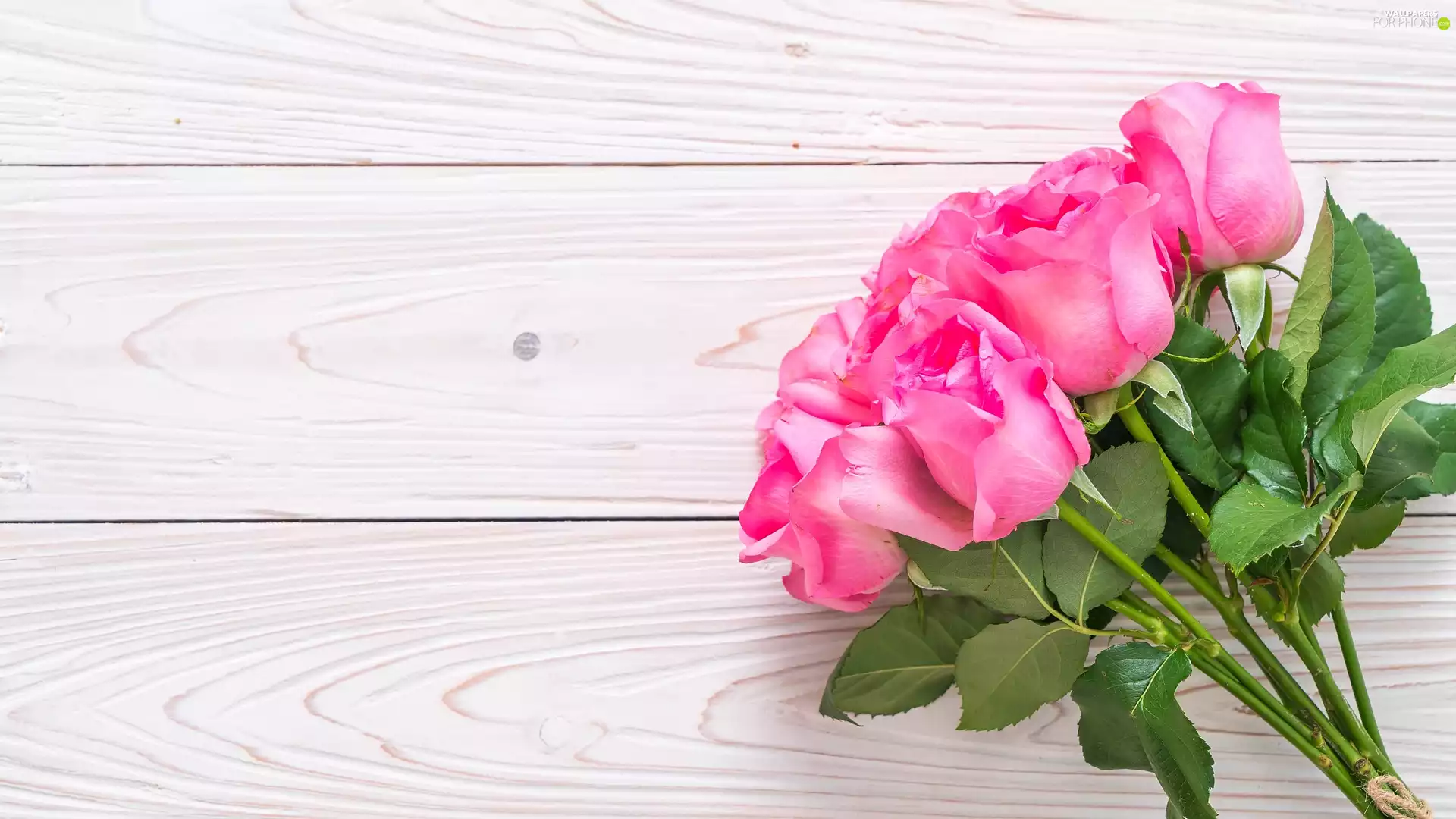 Colourfull Flowers, roses, boarding, Pink