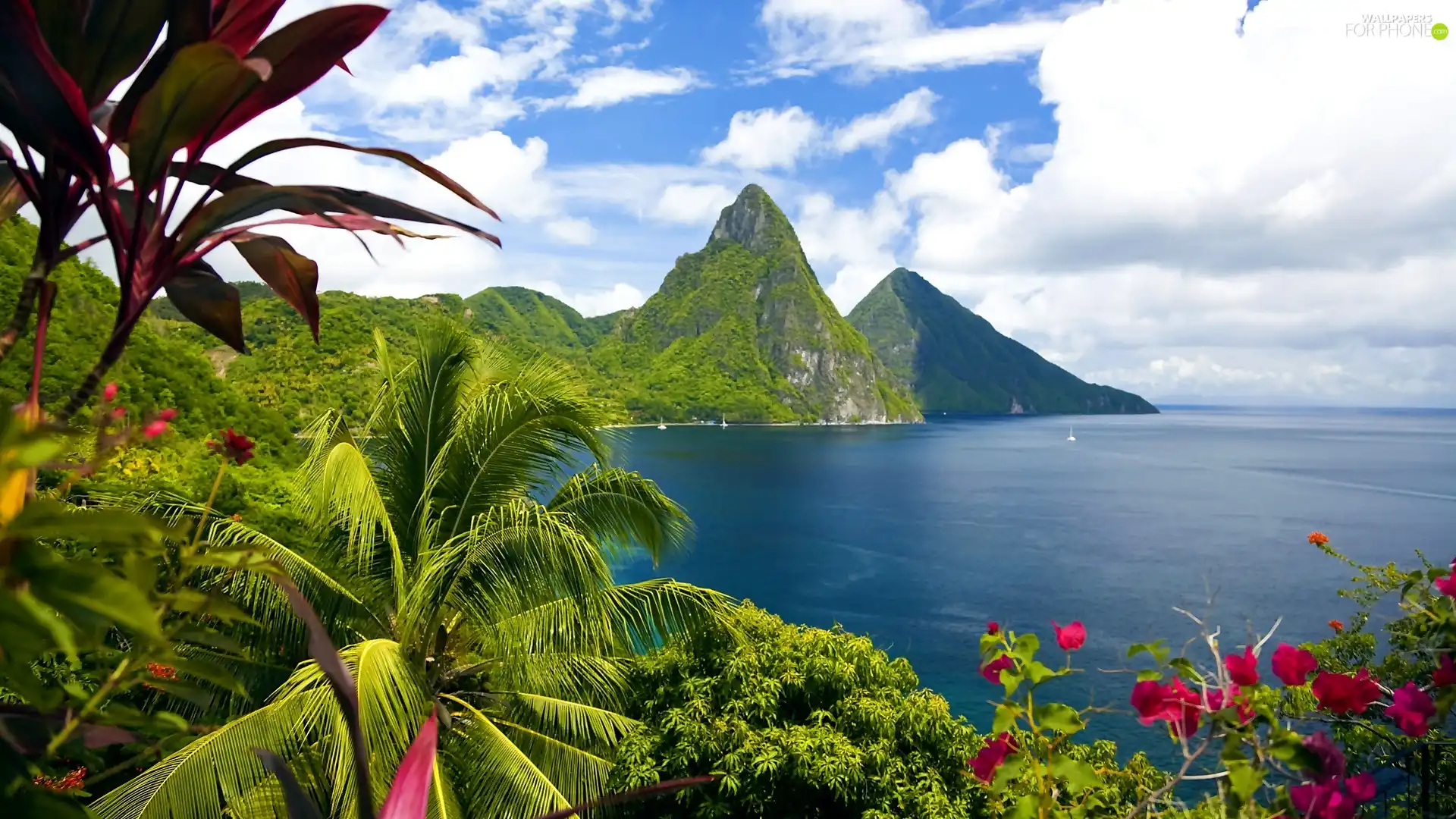 Flowers, Mountains, sea