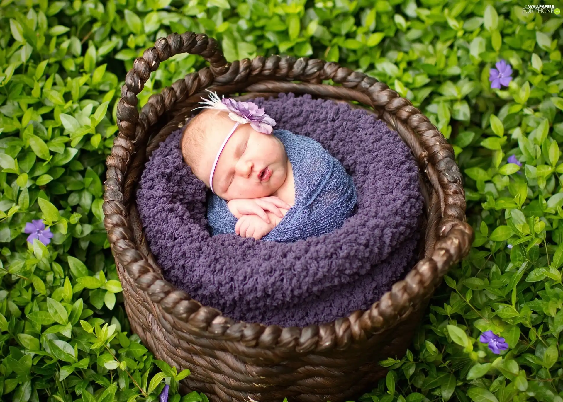 the sleeping, basket, Flowers, girl