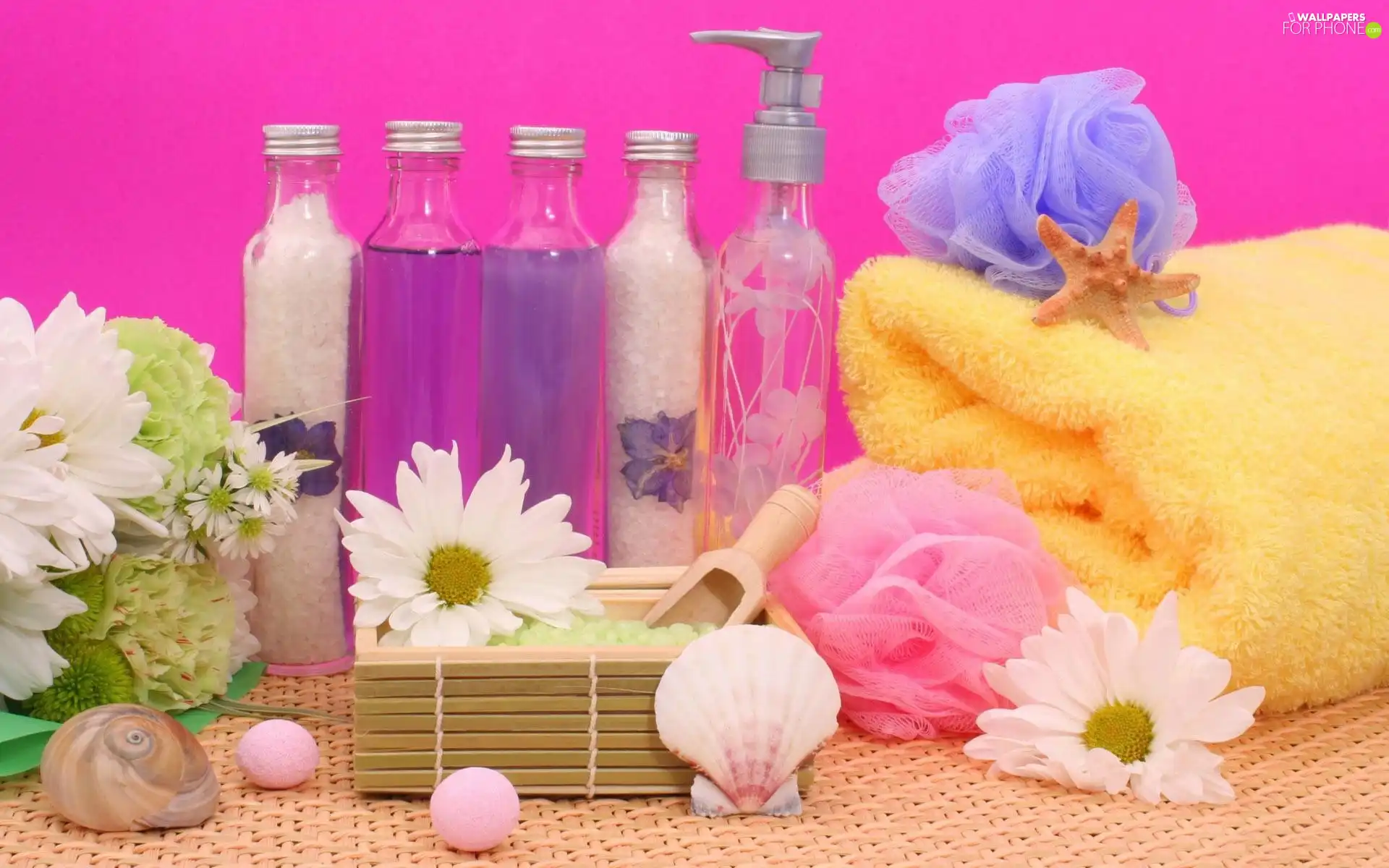 Spa, Shells, Flowers, minerals