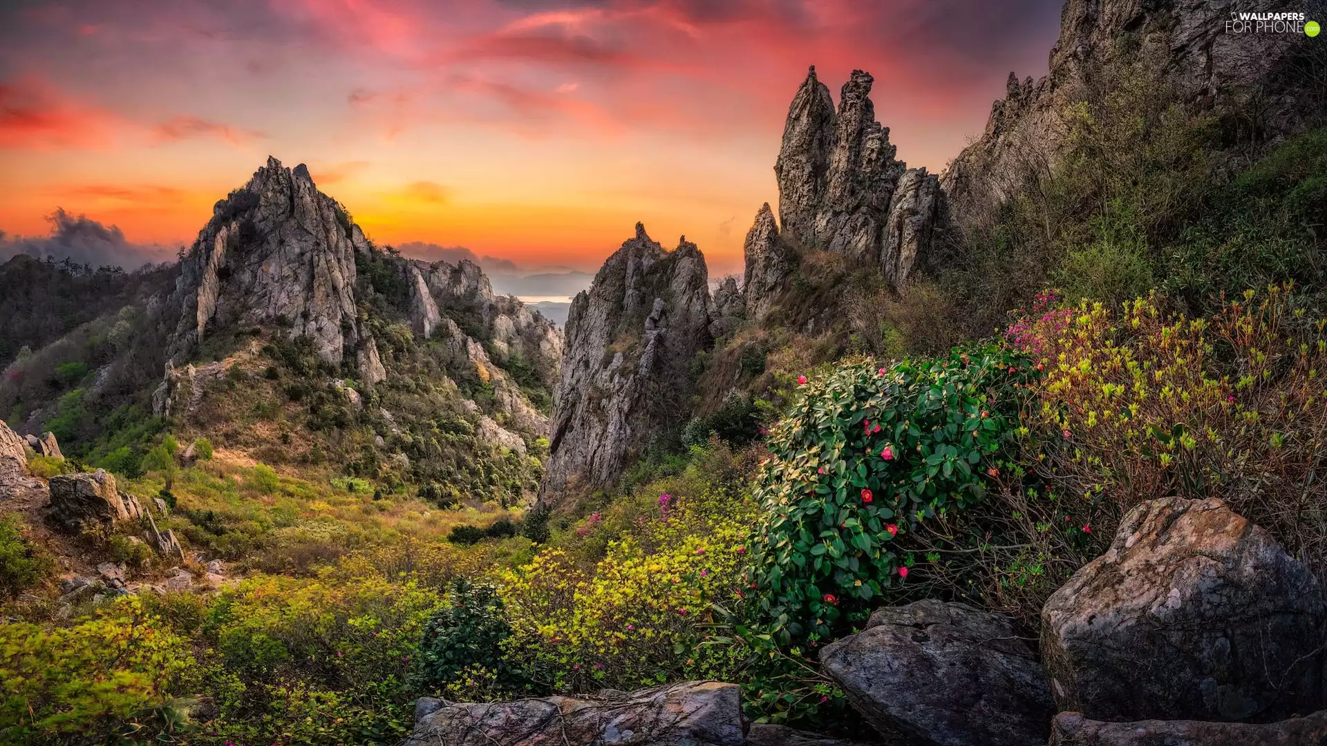 rocks, Great Sunsets, Flowers, boulders, Bush, Mountains