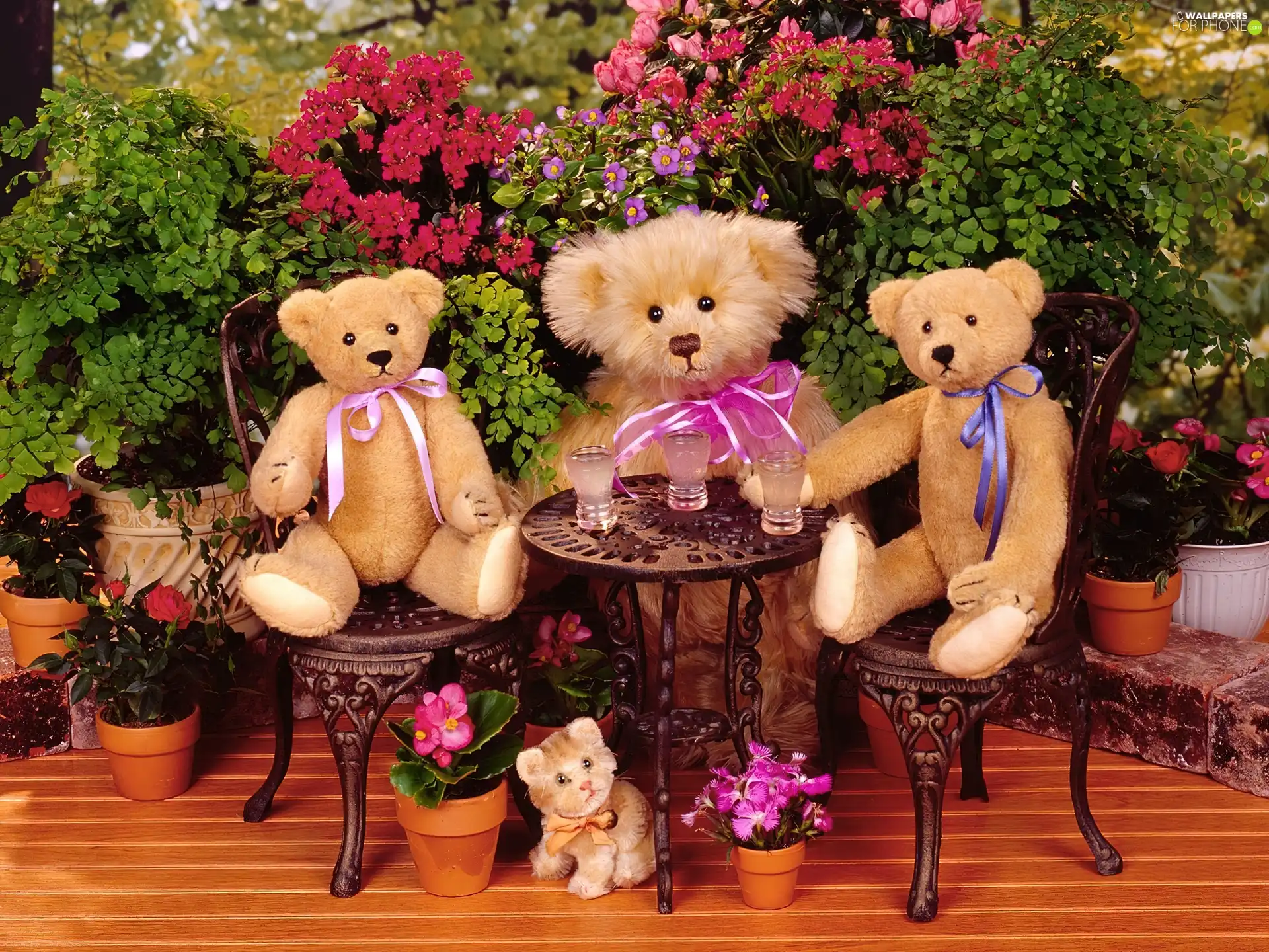 Flowers, bear, table