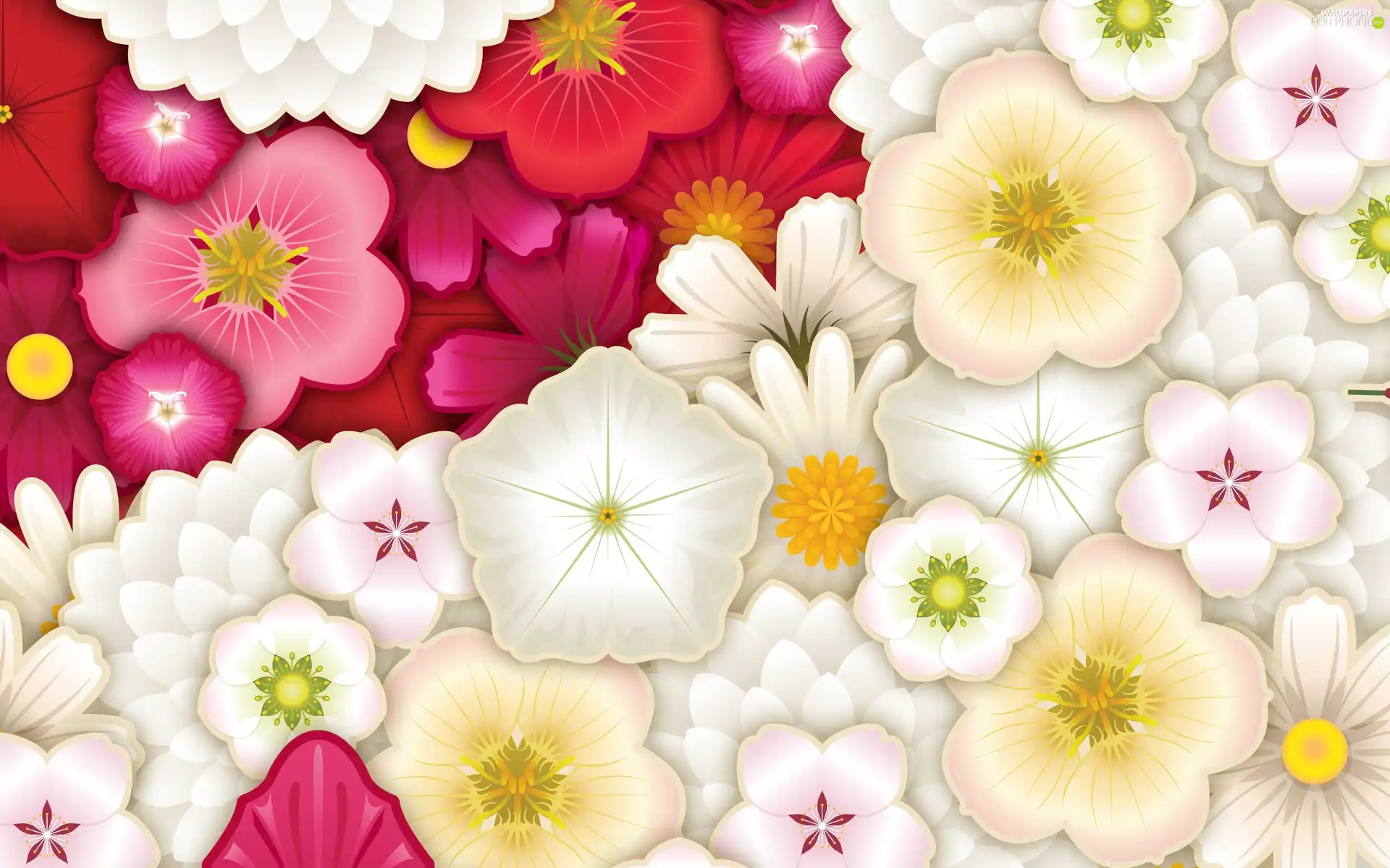 White, Pink, Flowers, Yellow