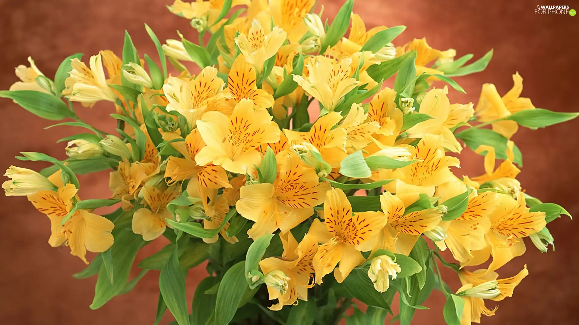 flowers, bouquet, yellow