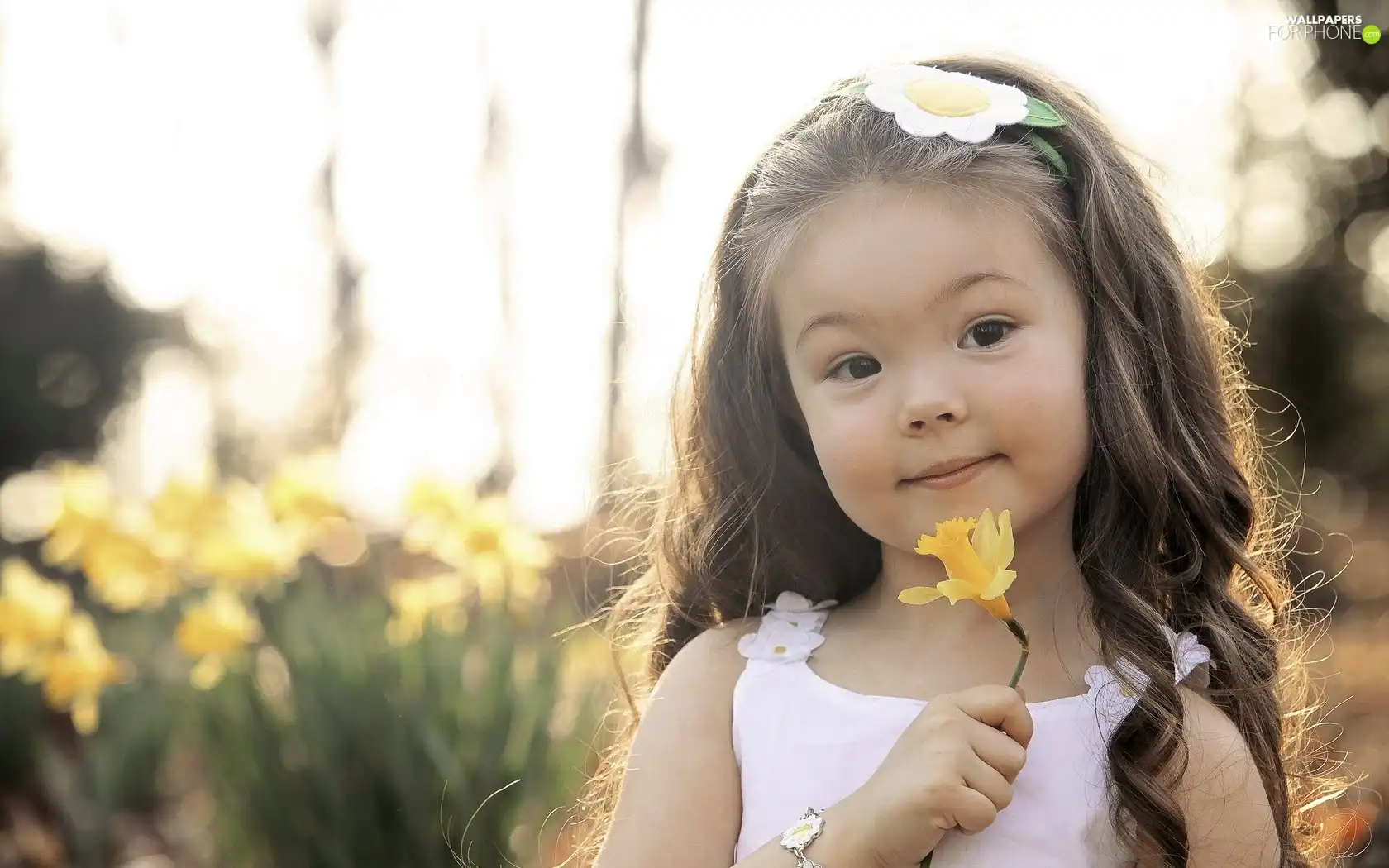 Flowers, girl, Yellow