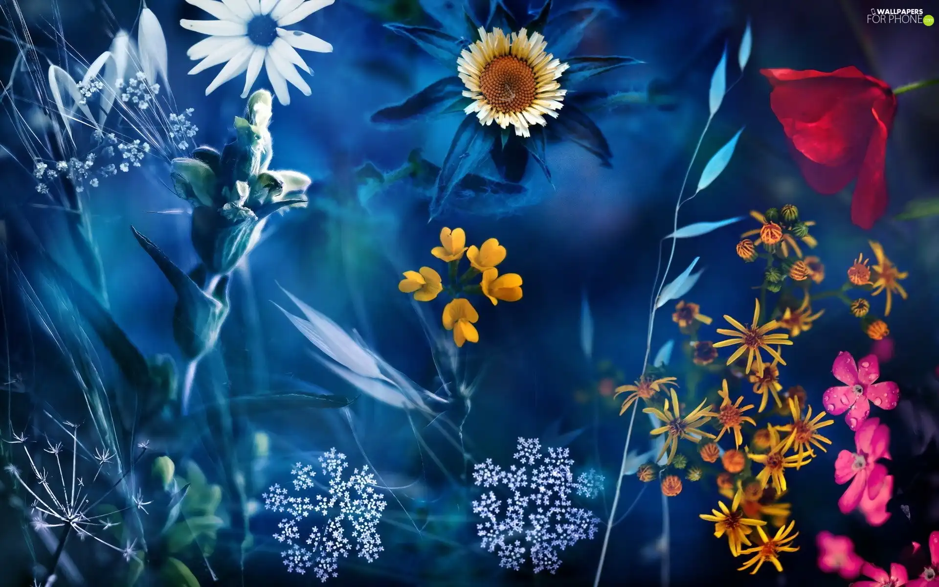 Flowers