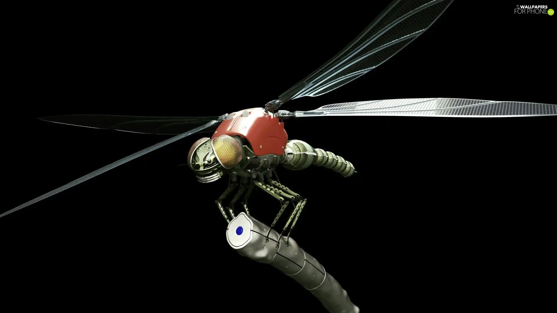Clockwork, dragon-fly