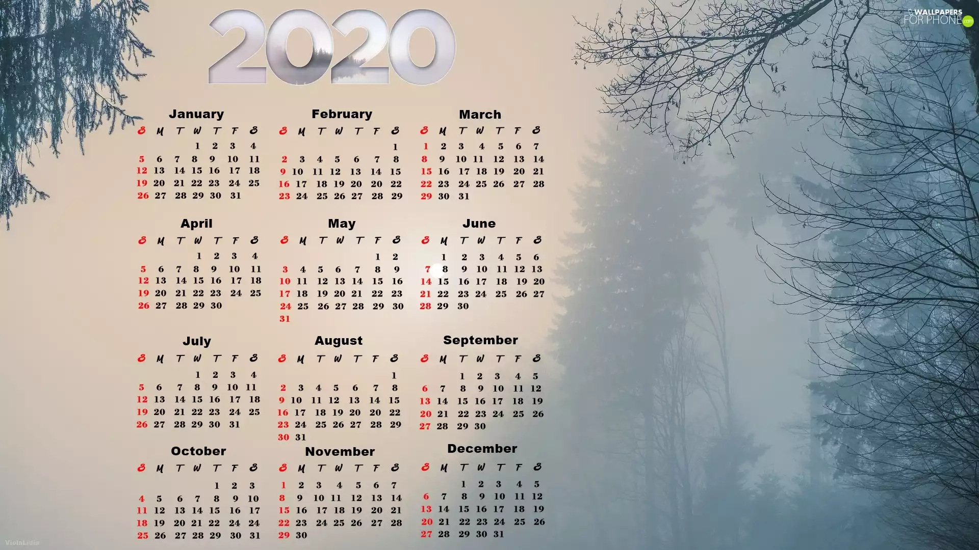 viewes, Fog, 2020, trees, Calendar