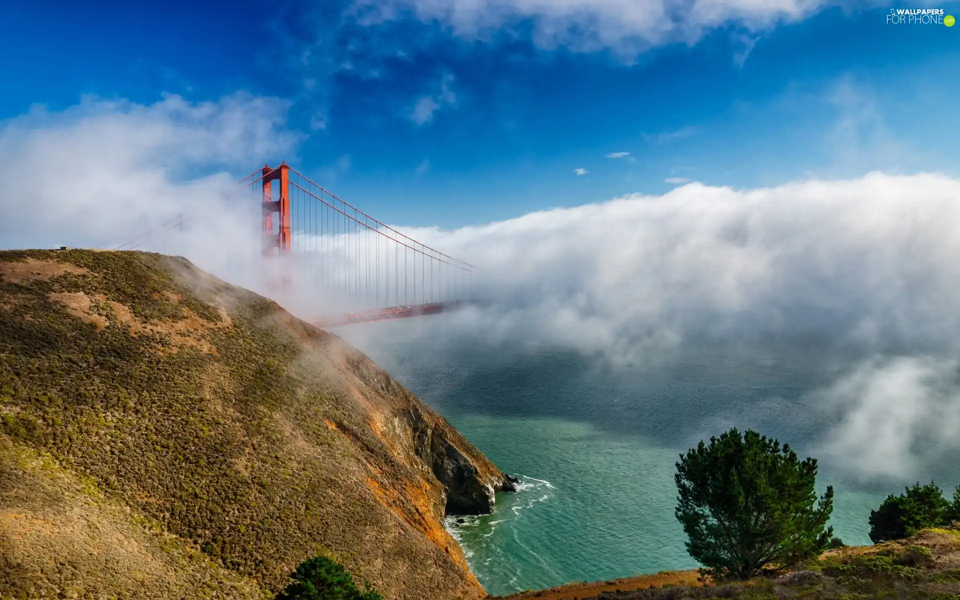 Fog, clouds, Coast, bridge, Rocky