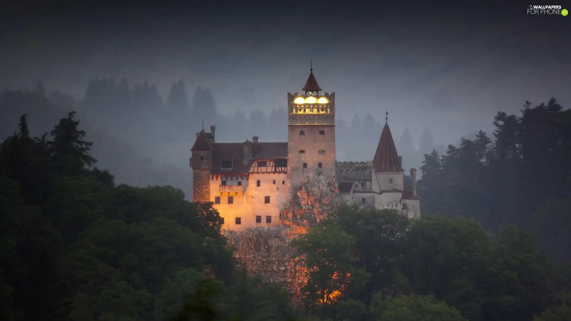 Fog, Castle, forest