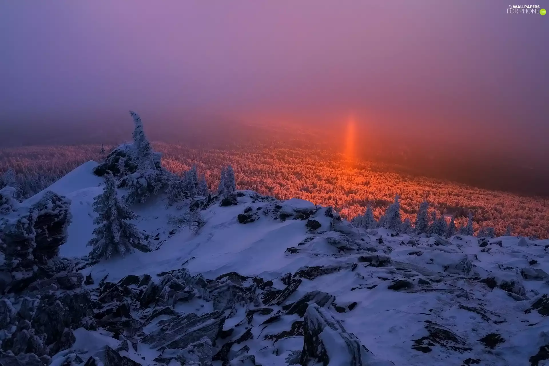 trees, Mountains, Great Sunsets, mount, winter, viewes, Fog
