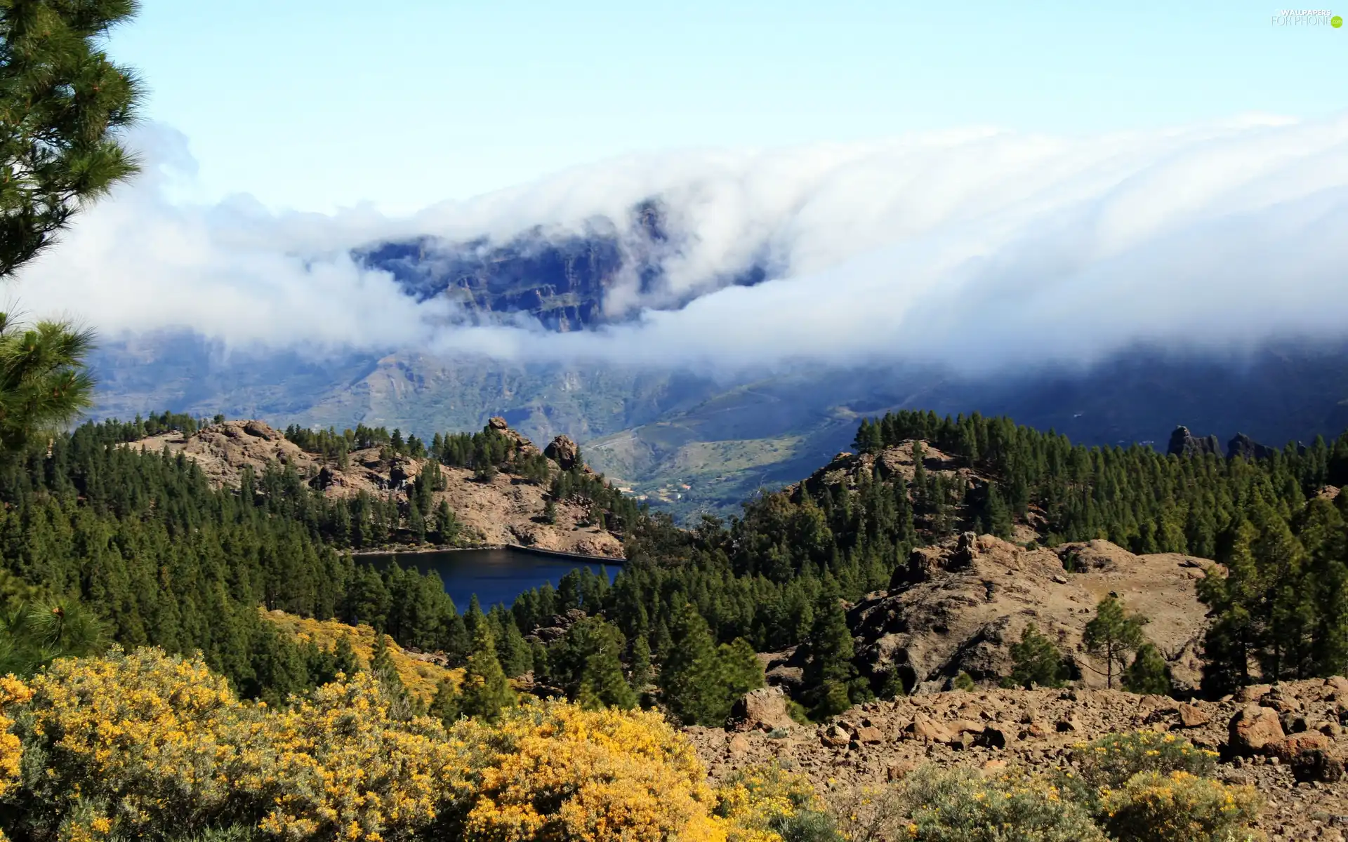 Mountains, lake, Fog, woods