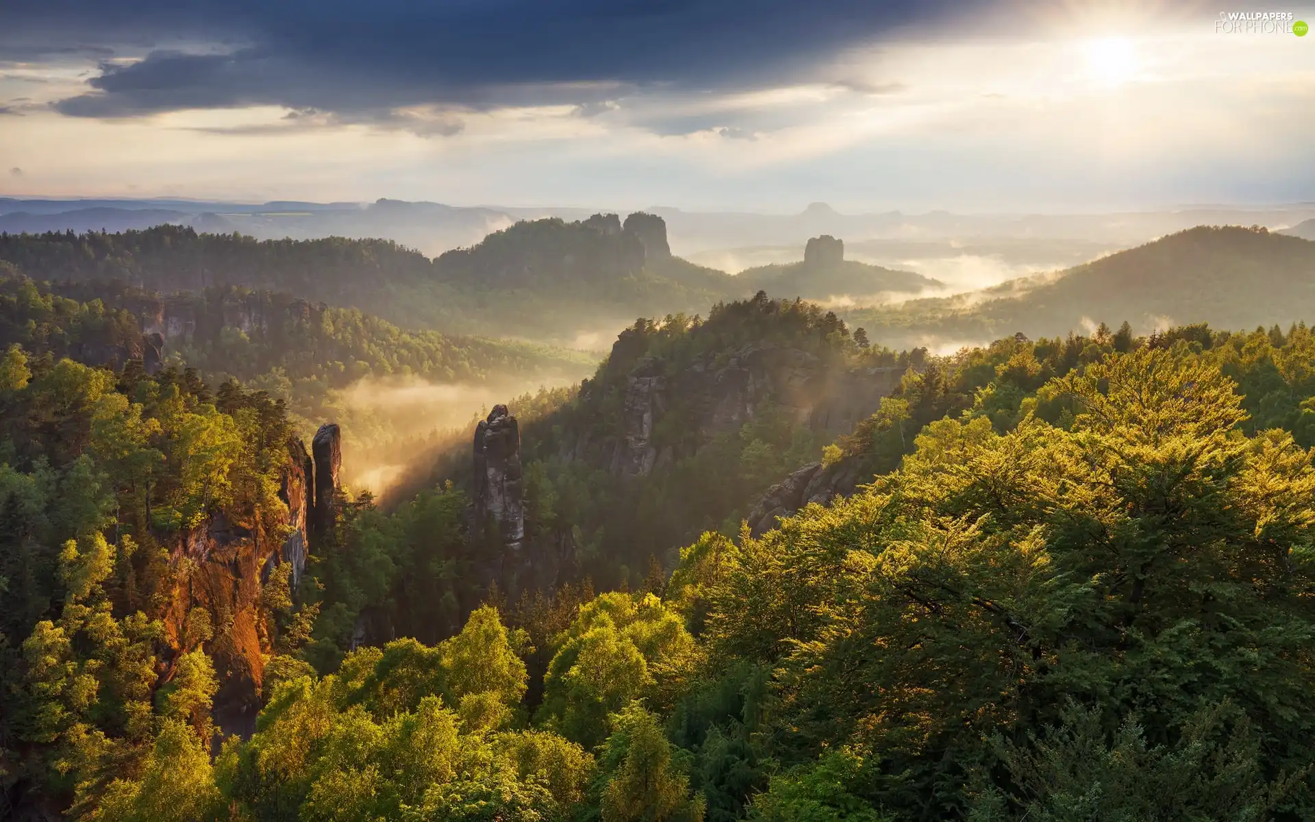 rocks, Sunrise, viewes, Fog, trees, Mountains