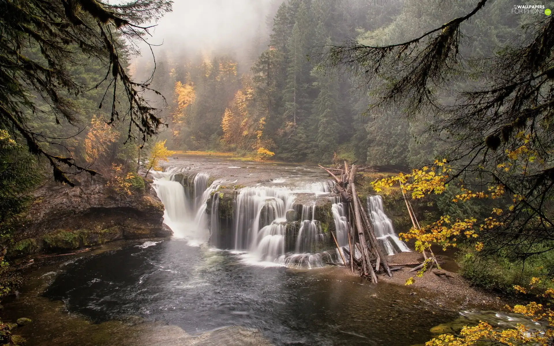 River, forest, Fog, waterfall