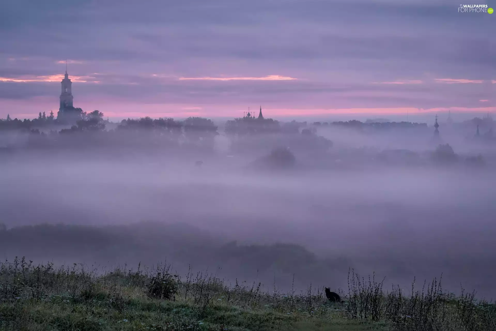 Town, clouds, tower, Fog, Sunrise, Cerkiew, cat