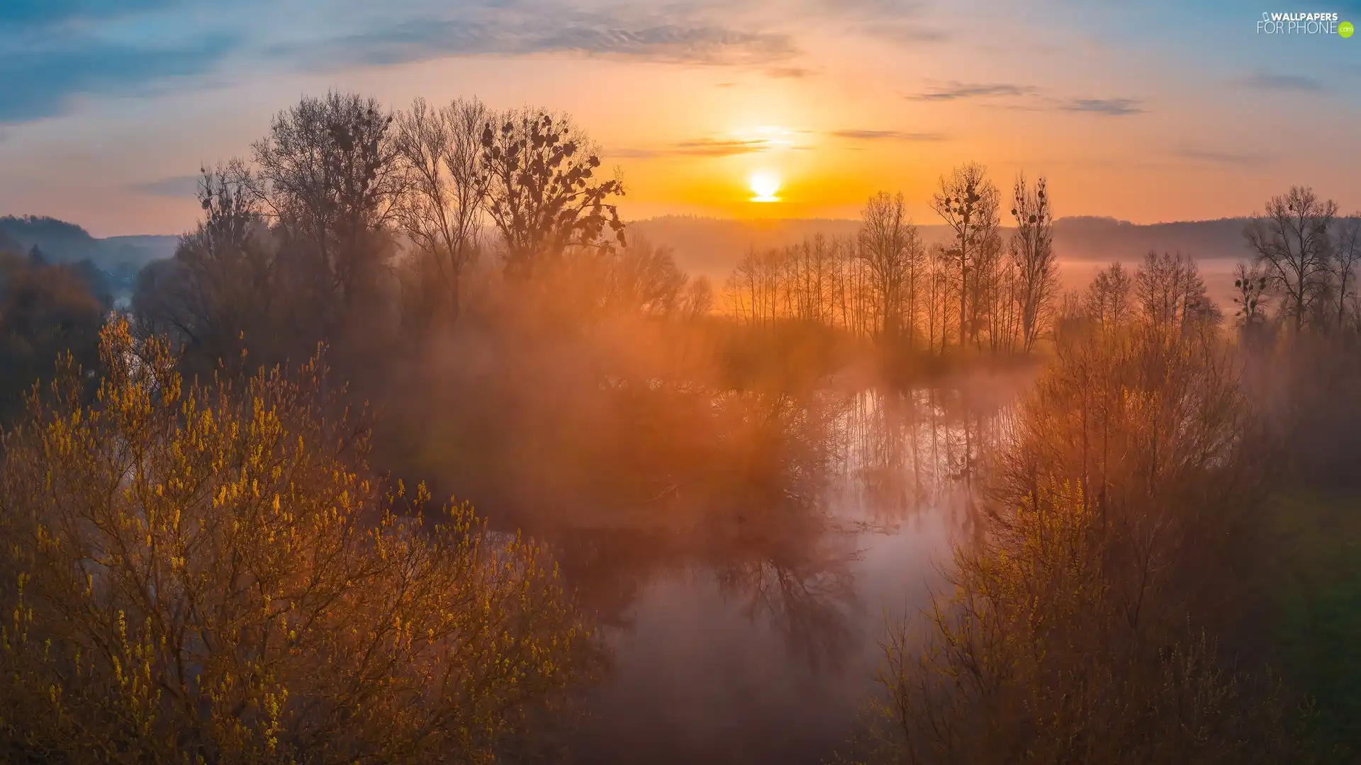 viewes, River, Sunrise, Fog, Bush, trees